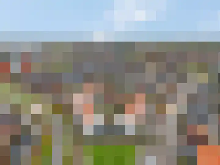 Citroenvlinder 10 Nijkerk thumbnail 40