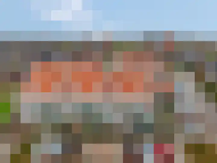 Citroenvlinder 10 Nijkerk thumbnail 41