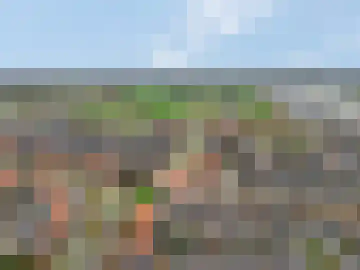 Citroenvlinder 10 Nijkerk thumbnail 42