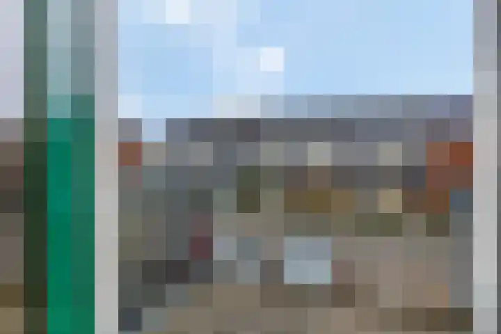 Citroenvlinder 10 Nijkerk thumbnail 9