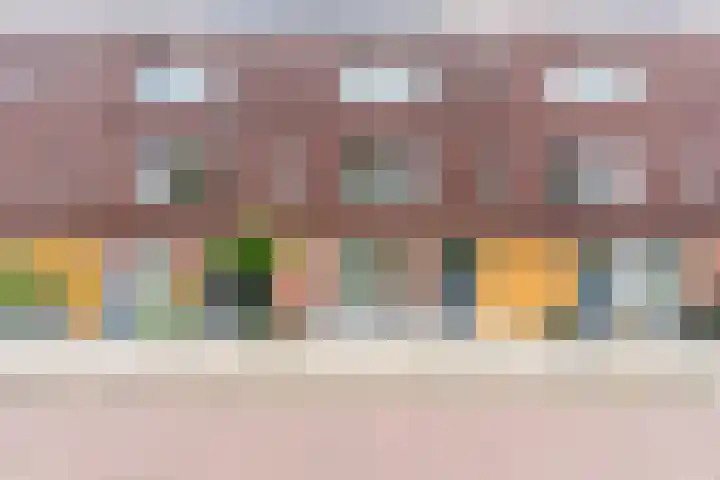 Citroenvlinder 100 in Hoogeveen