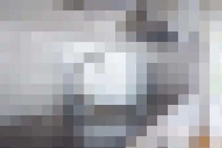 Citroenvlinder 100 Hoogeveen thumbnail 16