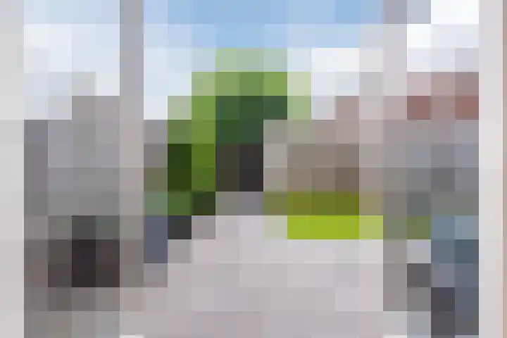 Citroenvlinder 100 Hoogeveen thumbnail 37