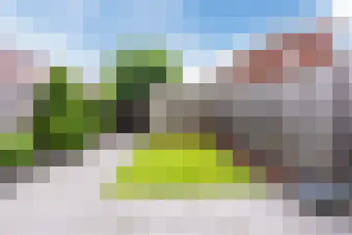 Citroenvlinder 100 Hoogeveen thumbnail 38
