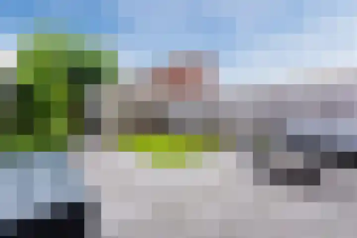 Citroenvlinder 100 Hoogeveen thumbnail 39