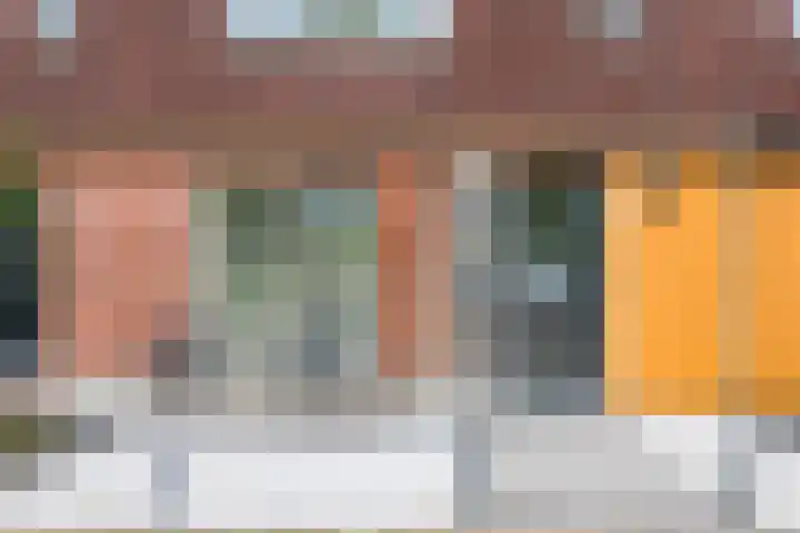 Citroenvlinder 100 Hoogeveen thumbnail 4