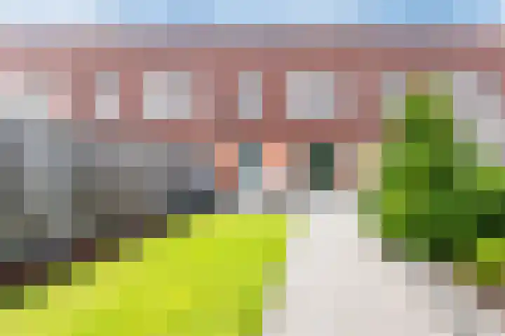 Citroenvlinder 100 Hoogeveen thumbnail 41