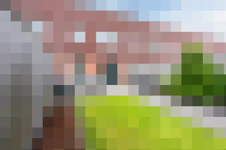 Citroenvlinder 100 Hoogeveen thumbnail 42