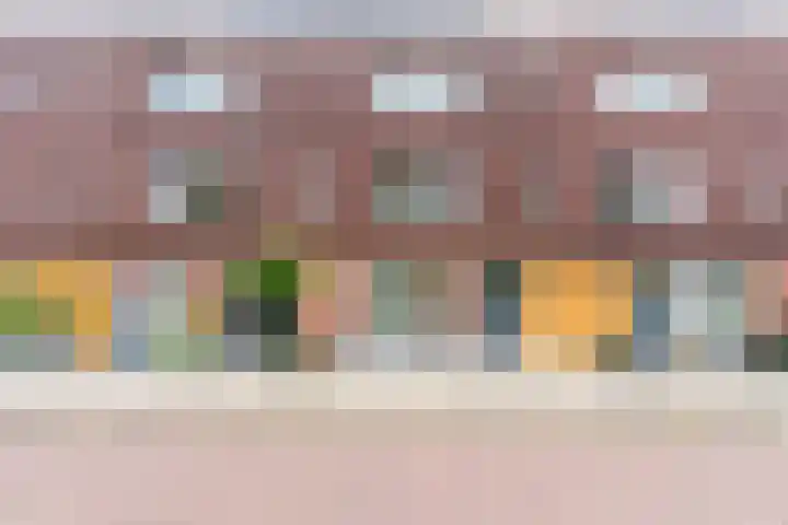 Citroenvlinder 100 Hoogeveen thumbnail 47
