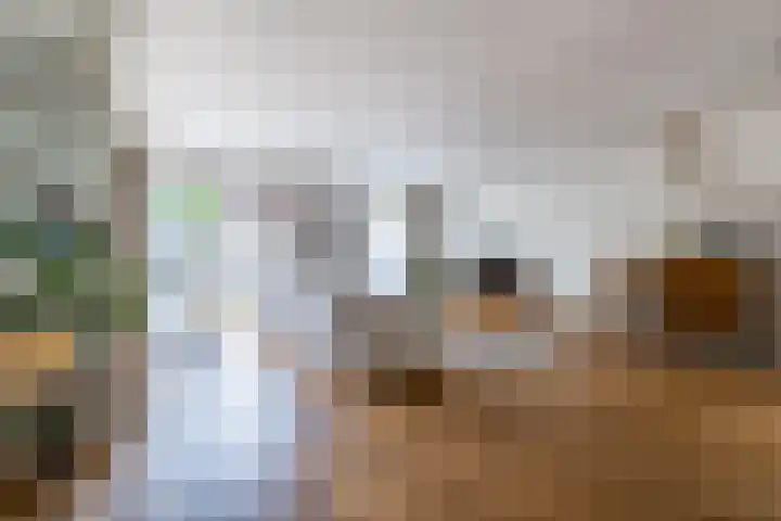 Citroenvlinder 100 Hoogeveen thumbnail 9