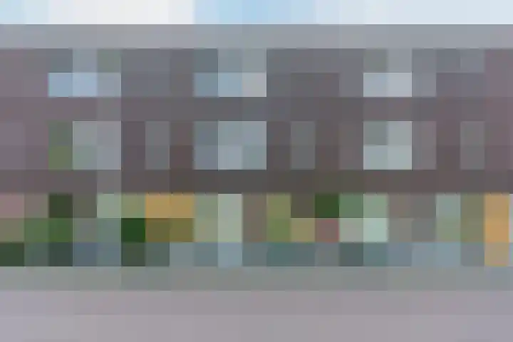 Citroenvlinder 102 in Hoogeveen