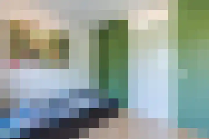 Citroenvlinder 102 Hoogeveen thumbnail 19