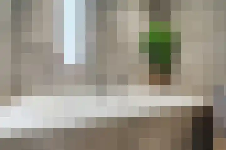 Citroenvlinder 102 Hoogeveen thumbnail 29
