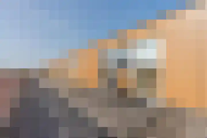 Citroenvlinder 102 Hoogeveen thumbnail 39