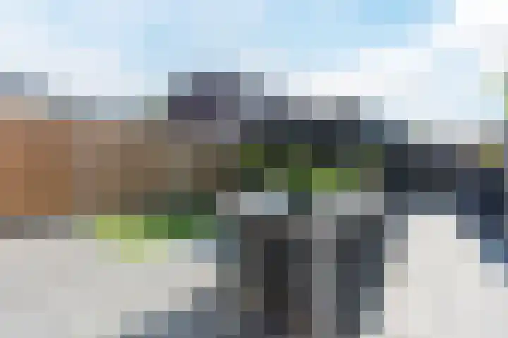 Citroenvlinder 102 Hoogeveen thumbnail 41
