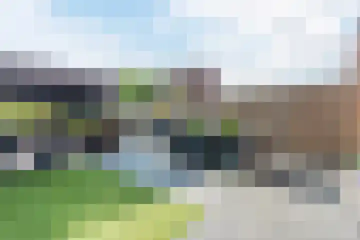 Citroenvlinder 102 Hoogeveen thumbnail 42