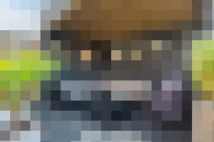 Citroenvlinder 102 Hoogeveen thumbnail 43