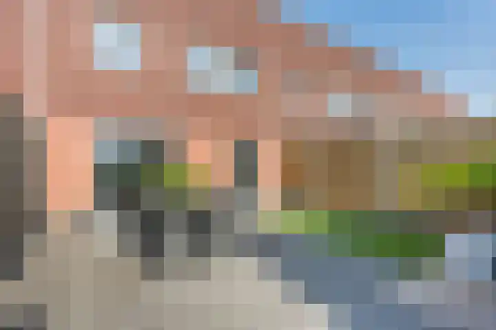 Citroenvlinder 102 Hoogeveen thumbnail 45