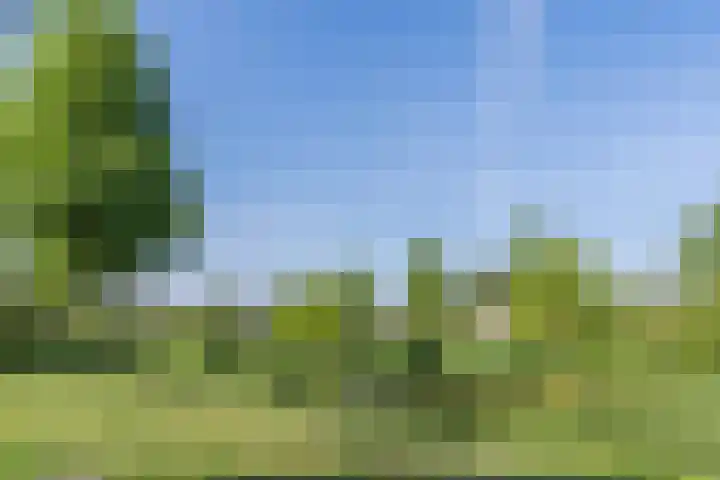 Citroenvlinder 102 Hoogeveen thumbnail 46