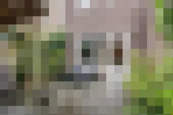Citroenvlinder 119 Hoogeveen thumbnail 46
