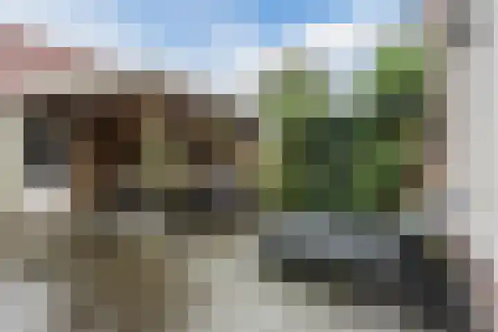 Citroenvlinder 119 Hoogeveen thumbnail 48