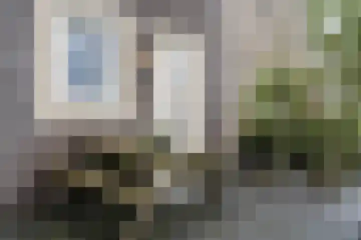 Citroenvlinder 119 Hoogeveen thumbnail 5