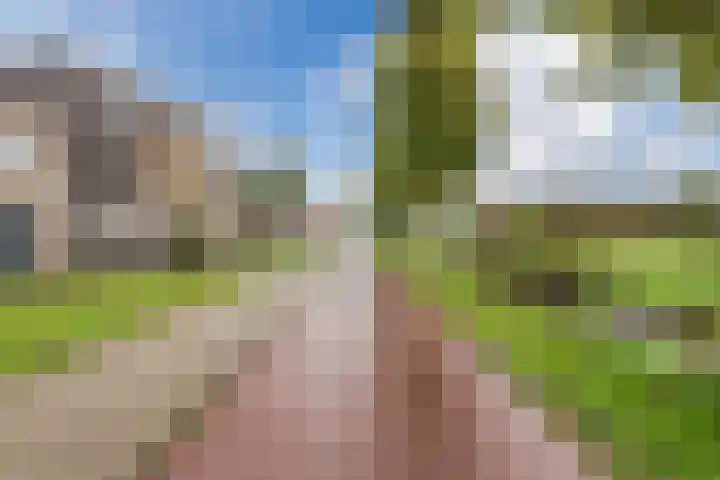 Citroenvlinder 119 Hoogeveen thumbnail 53