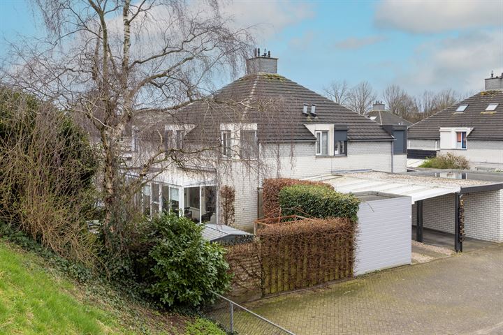 Citroenvlinder 12 in Oss Foto