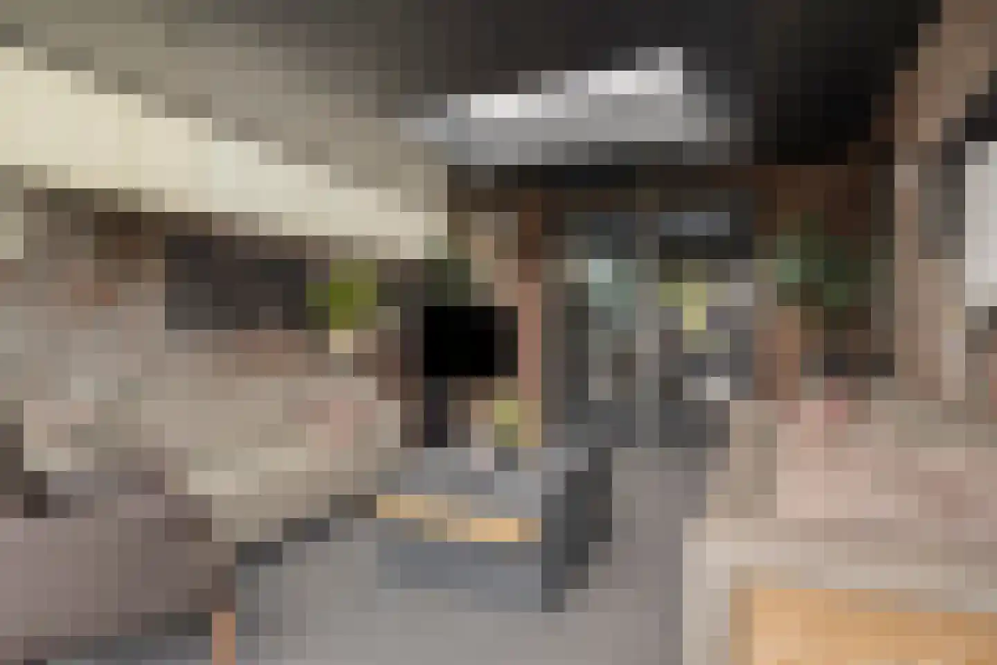 Citroenvlinder 12 Emmen thumbnail 10