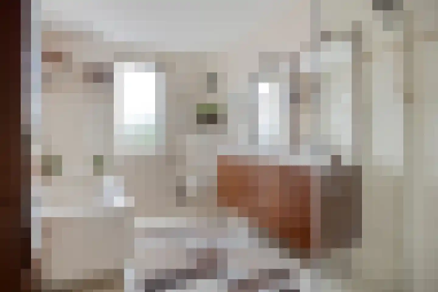 Citroenvlinder 12 Emmen thumbnail 15
