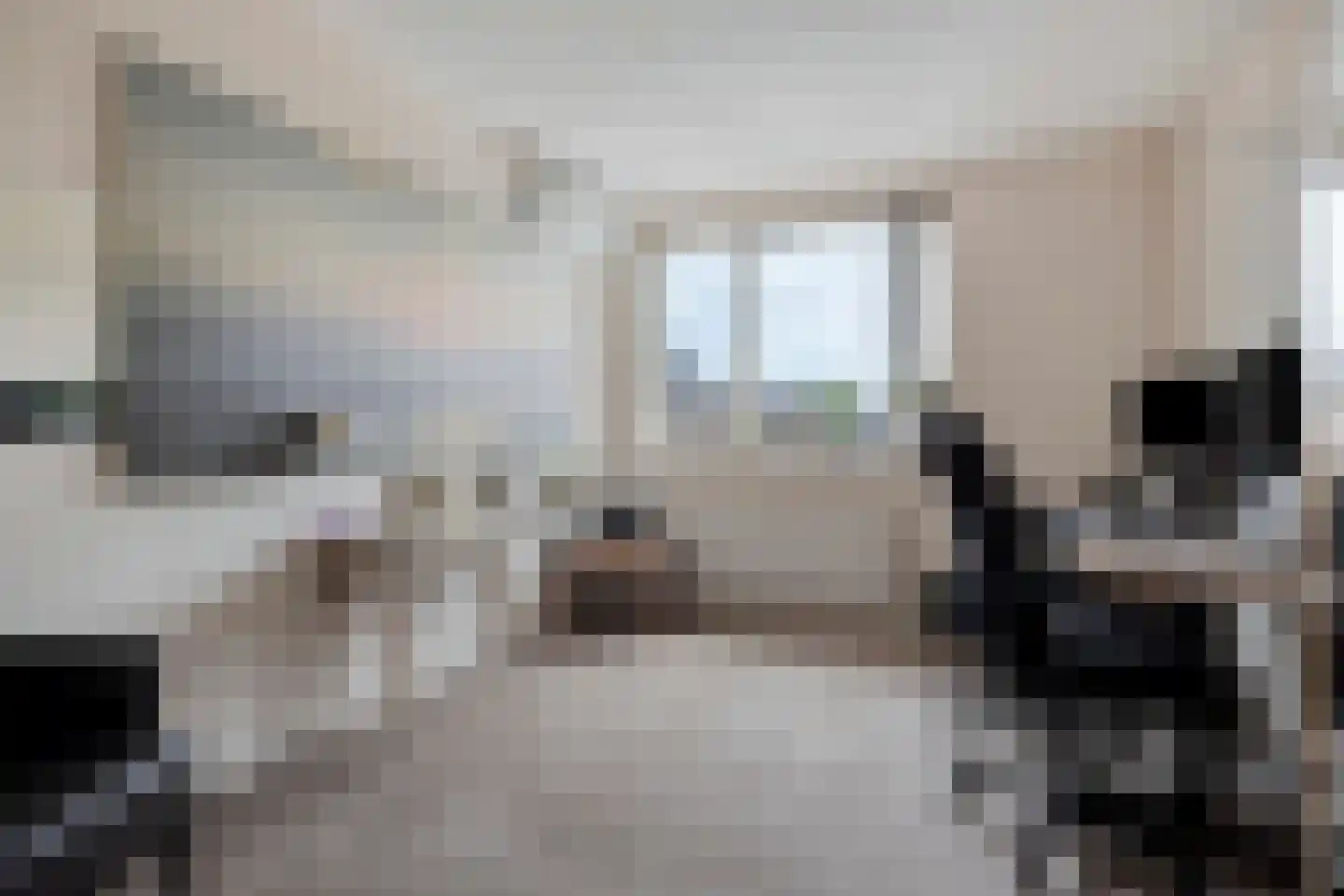 Citroenvlinder 12 Emmen thumbnail 17