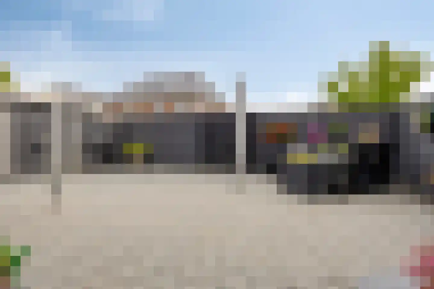 Citroenvlinder 12 Emmen thumbnail 20