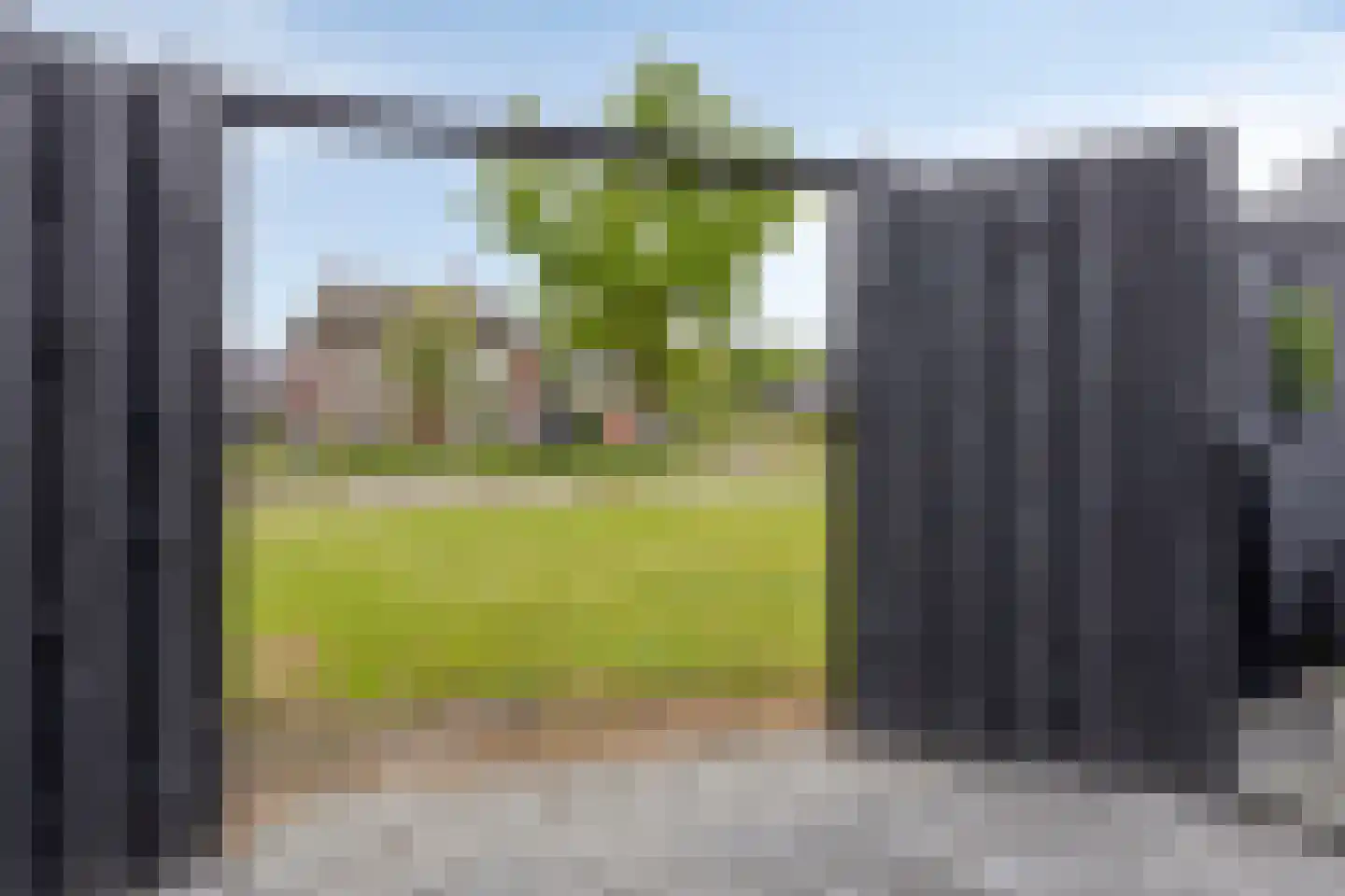 Citroenvlinder 12 Emmen thumbnail 22