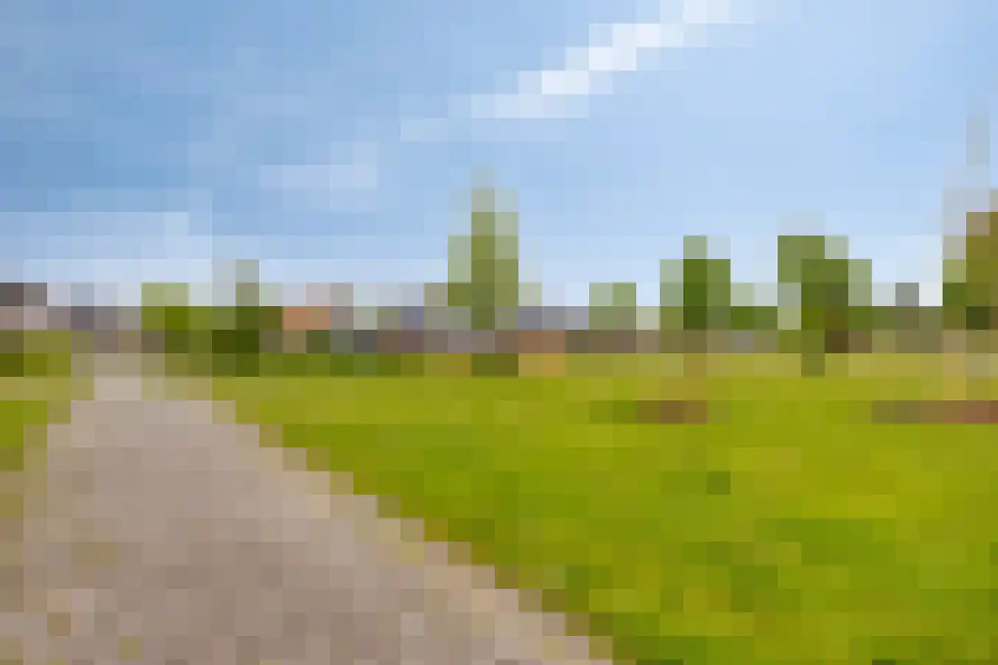 Citroenvlinder 12 Emmen thumbnail 24