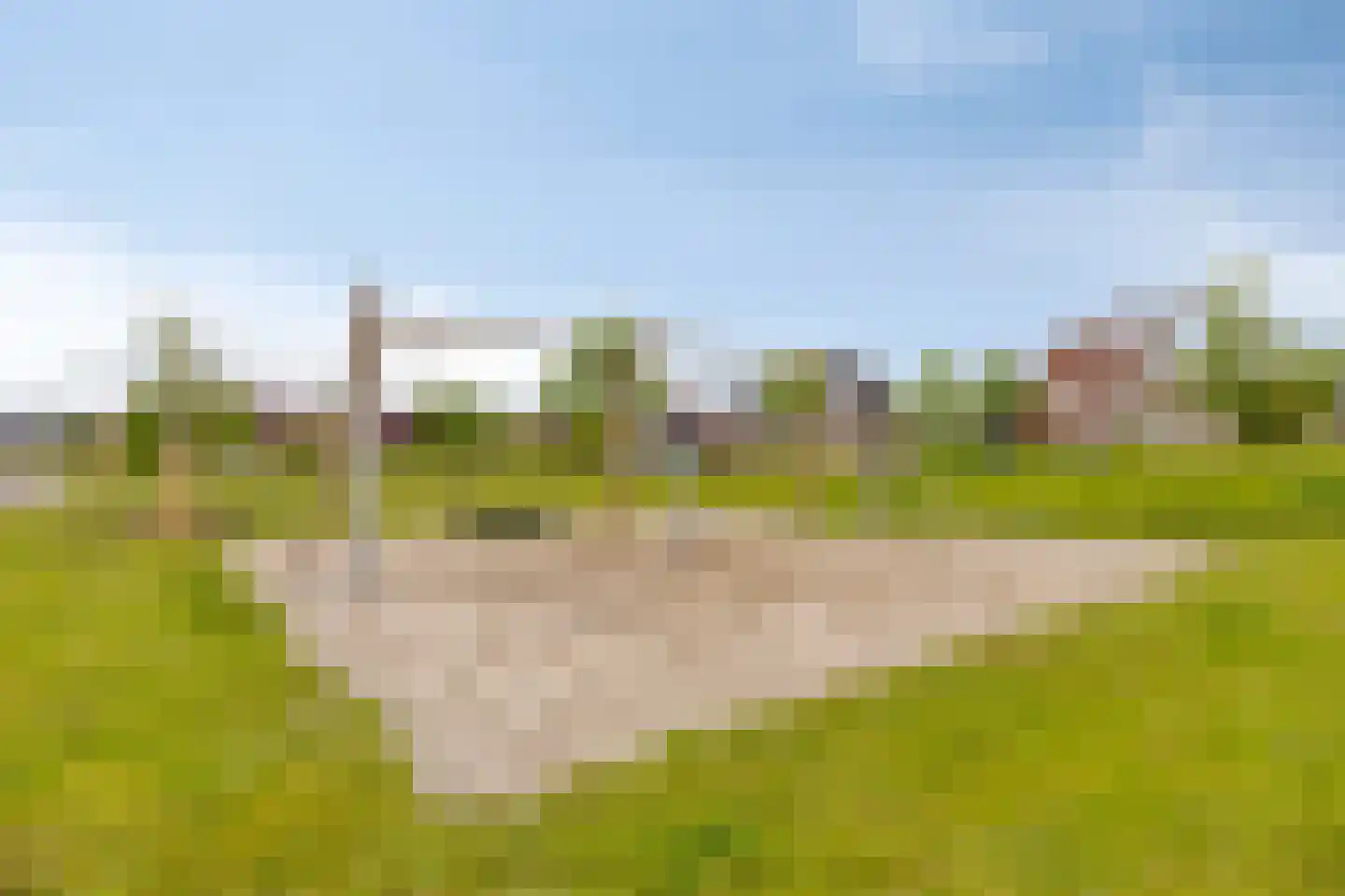 Citroenvlinder 12 Emmen thumbnail 25