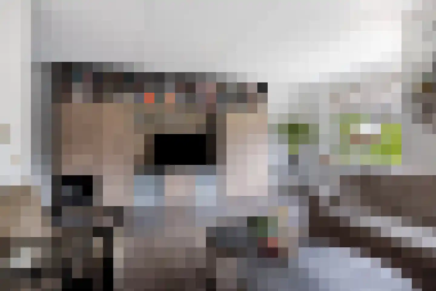 Citroenvlinder 12 Emmen thumbnail 4