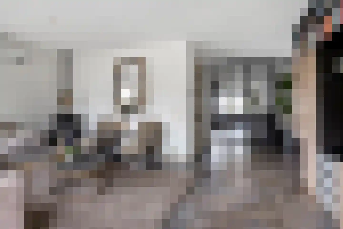 Citroenvlinder 12 Emmen thumbnail 5