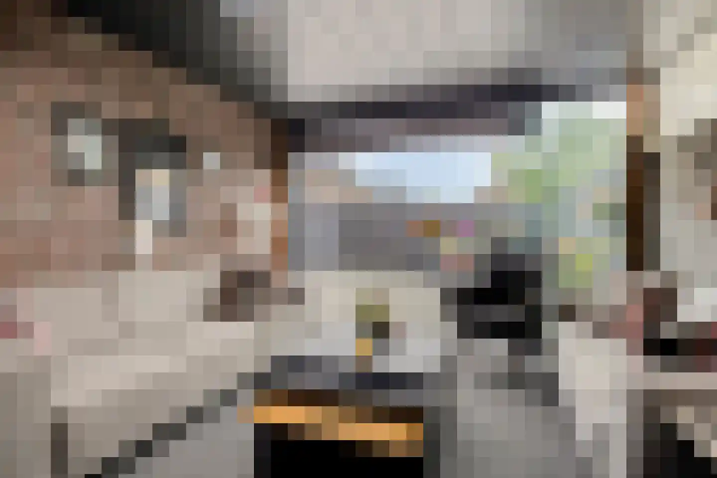 Citroenvlinder 12 Emmen thumbnail 9