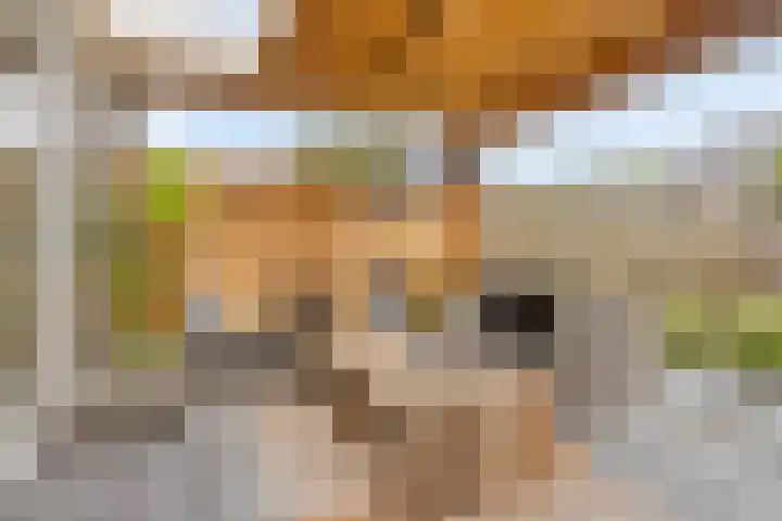 Citroenvlinder 12 Holten thumbnail 23