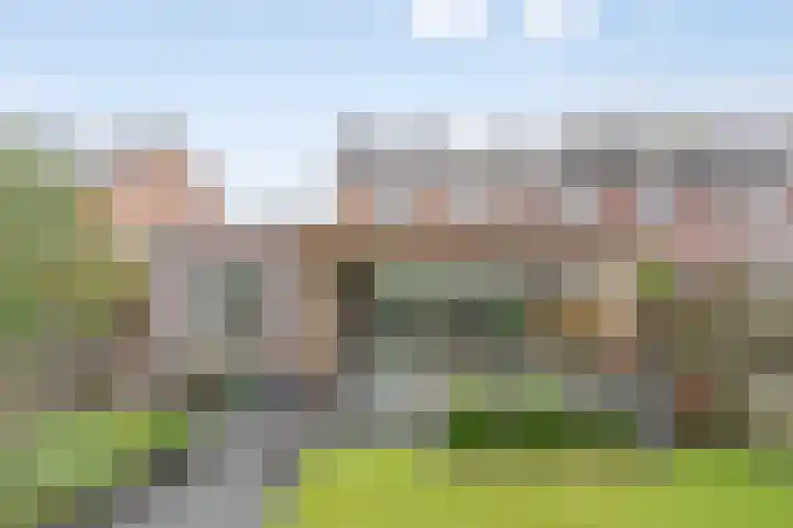Citroenvlinder 12 Holten thumbnail 25