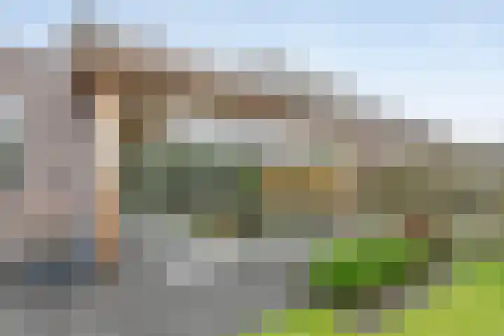 Citroenvlinder 12 Holten thumbnail 26