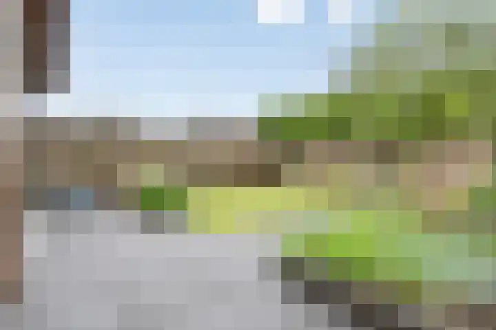 Citroenvlinder 12 Holten thumbnail 28