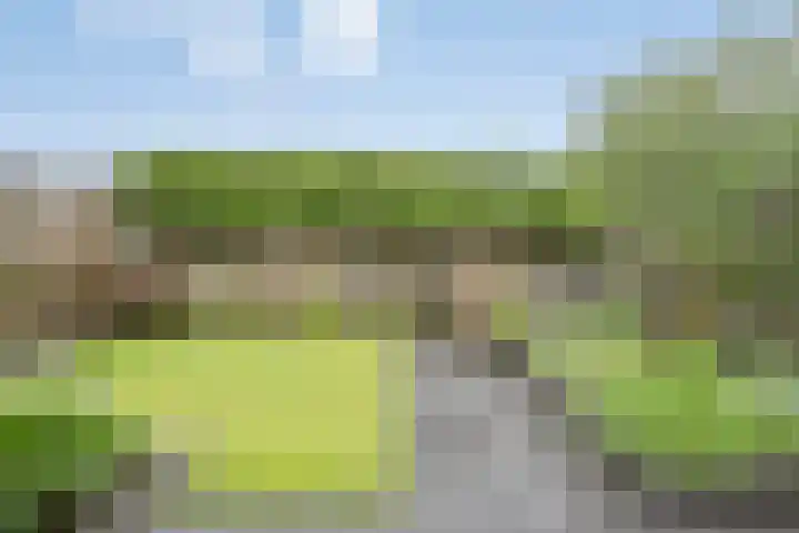 Citroenvlinder 12 Holten thumbnail 29