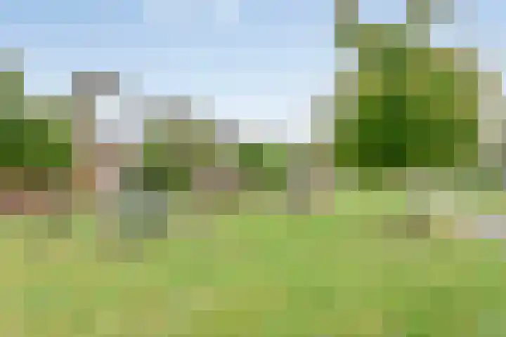 Citroenvlinder 12 Holten thumbnail 35