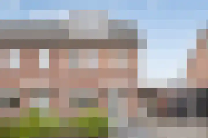 Citroenvlinder 12 Holten thumbnail 39