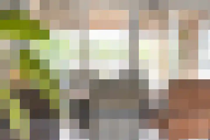 Citroenvlinder 12 Holten thumbnail 4