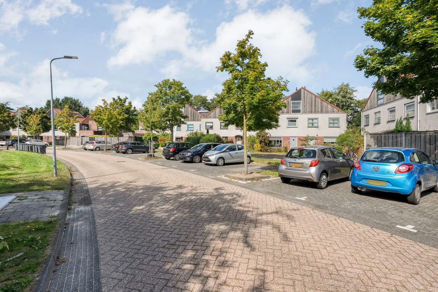 Citroenvlinder 123 Meppel foto 3