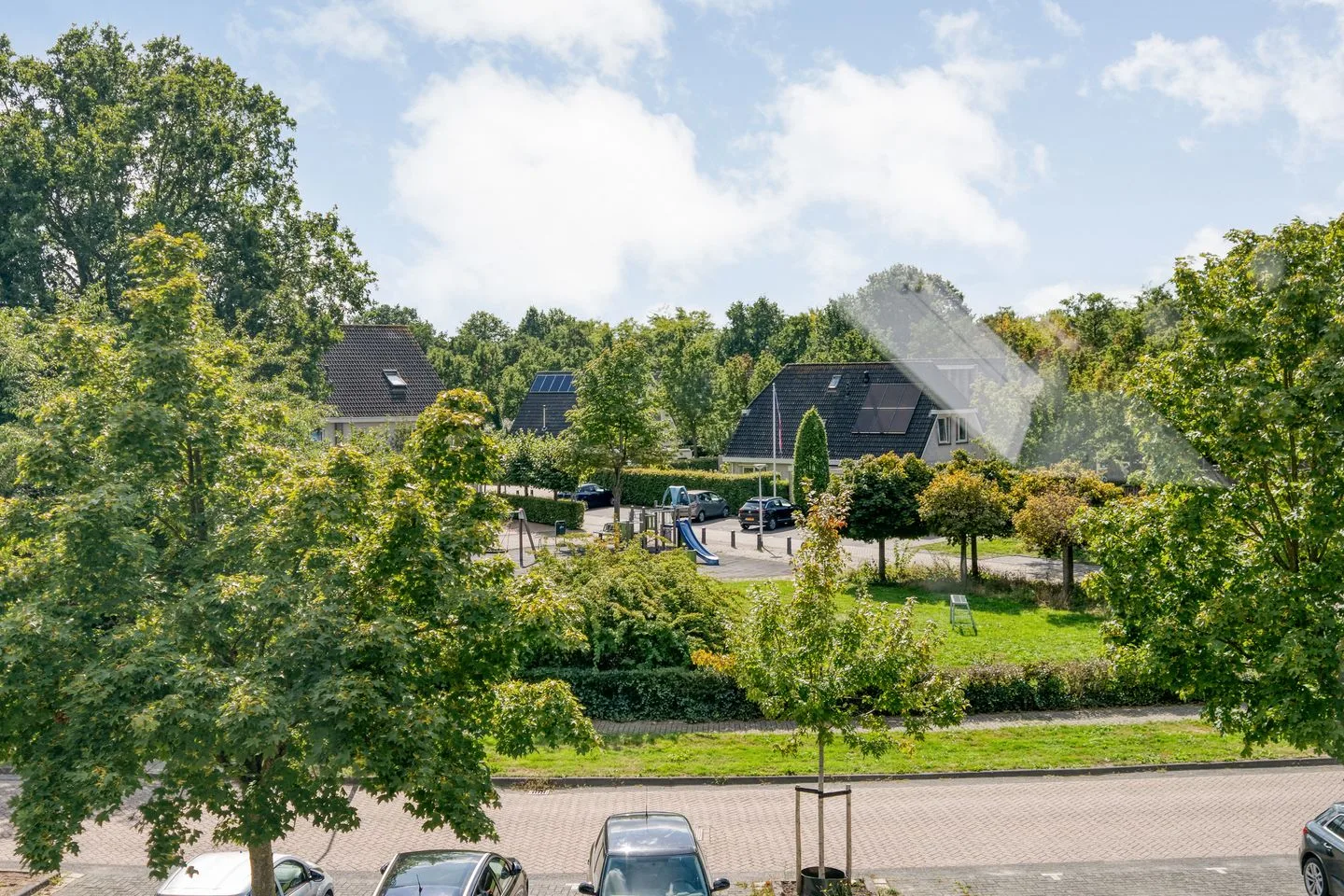 Citroenvlinder 123 Meppel thumbnail 32