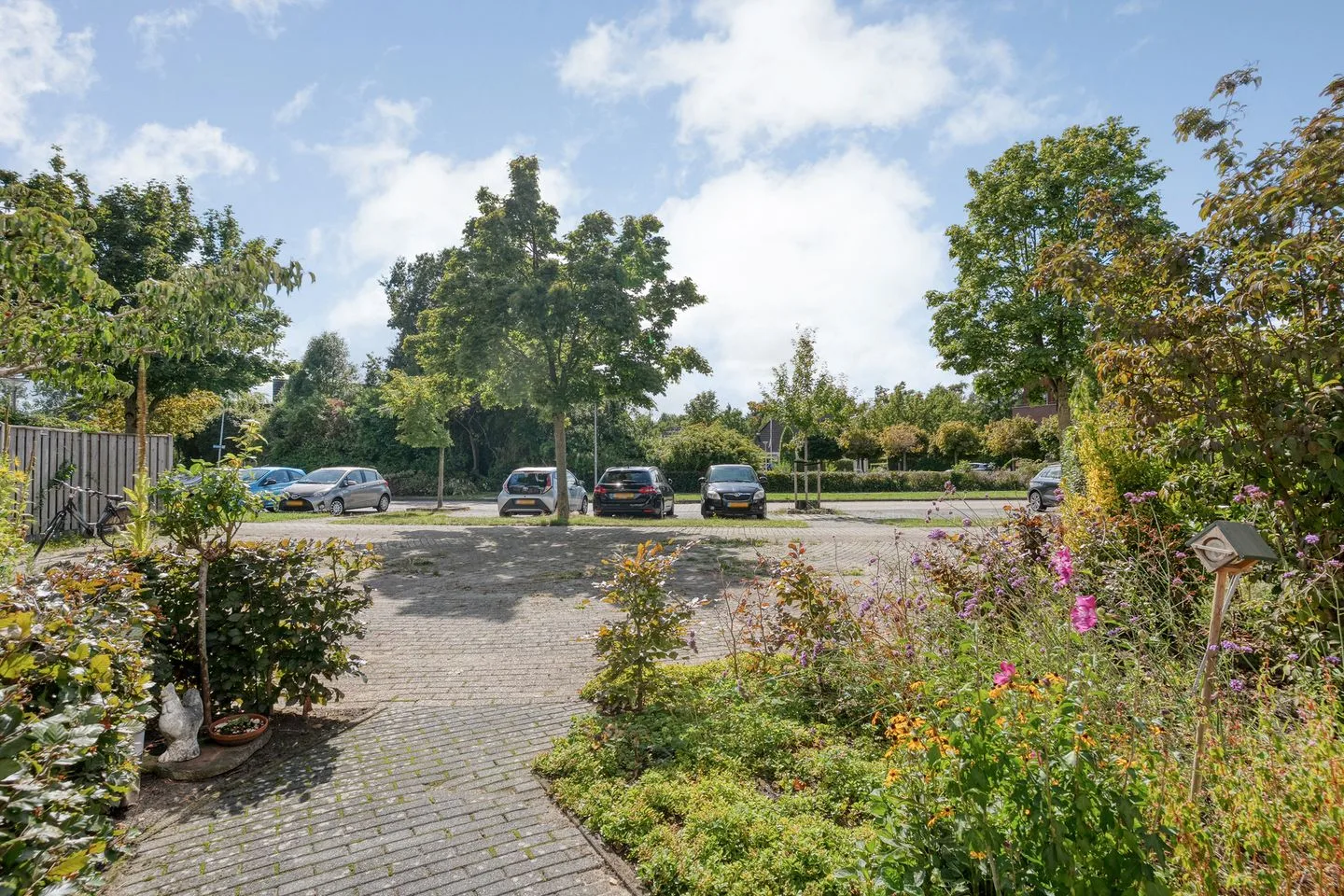 Citroenvlinder 123 Meppel thumbnail 4
