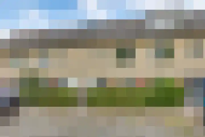 Citroenvlinder 124 in Meppel